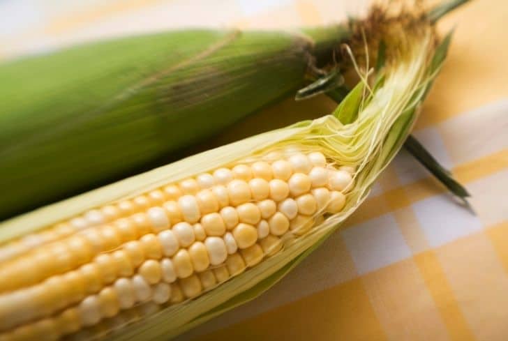 How are Corn Husks Used in Different Materials?