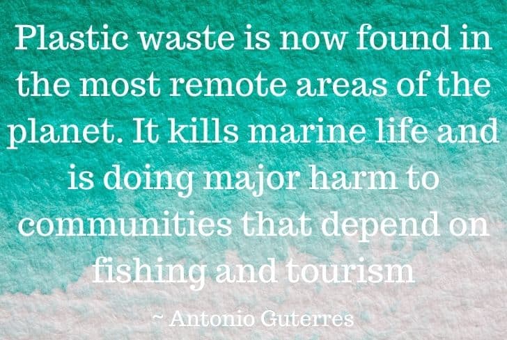 70+ Inspiring Quotes On Plastic Pollution Of All Time - Conserve Energy Future