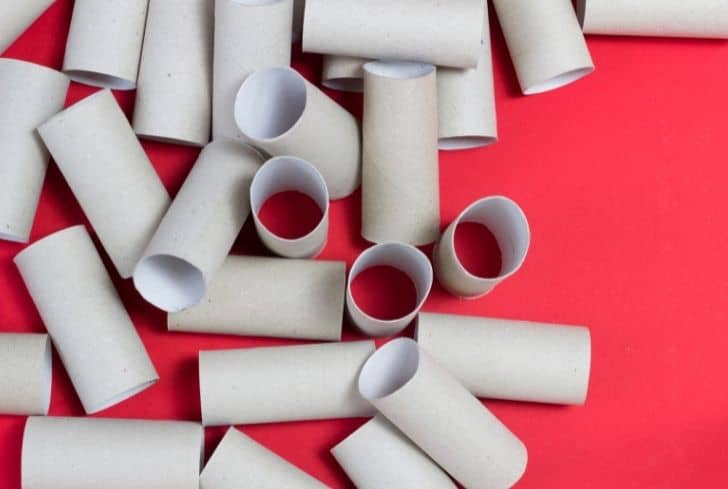 Can You Recycle Toilet Paper Rolls? - Conserve Energy Future