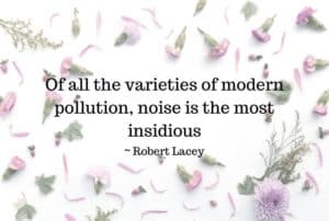 noise-pollution-quote
