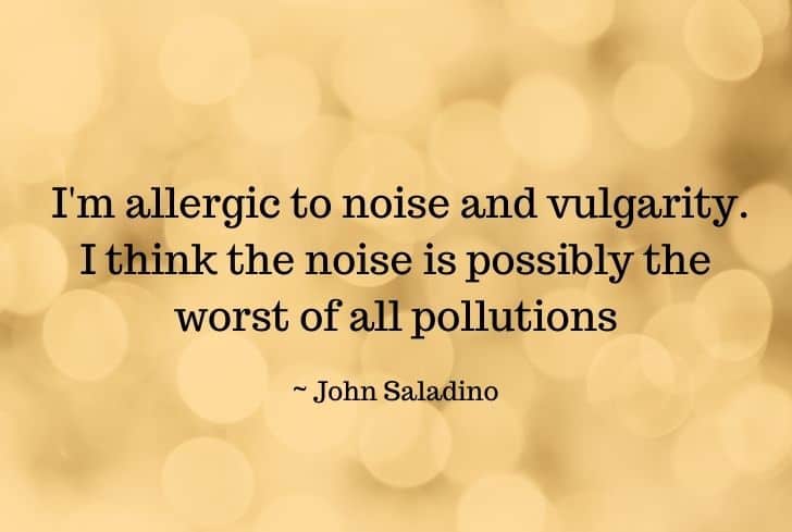 noise-pollution-quote1