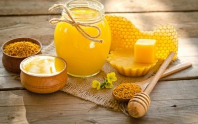 Is Beeswax Biodegradable? (And Compostable)