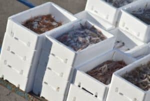 thermocol-fish-boxes