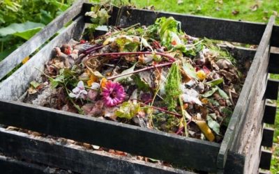 Why is Your Compost Not Heating Up? (7 Reasons)