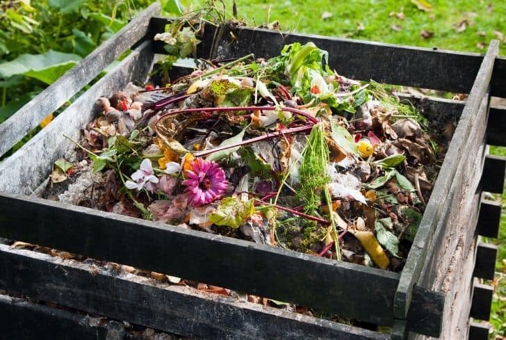 compost-bin