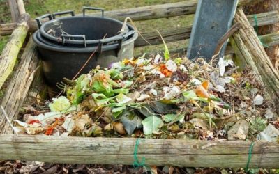 Should a Compost Pile Be in the Sun or the Shade?