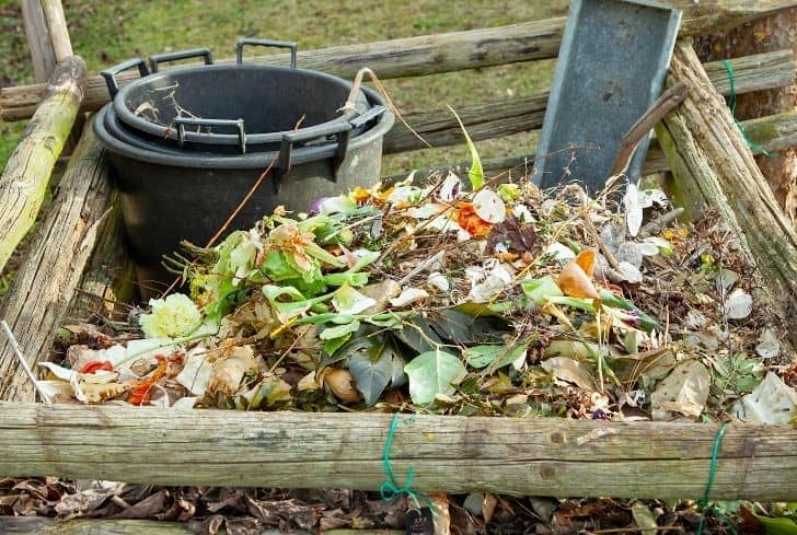 compost-pile-in-garden