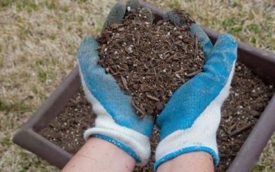 Can You Put Potting Soil in Compost? (And in the Garden?)