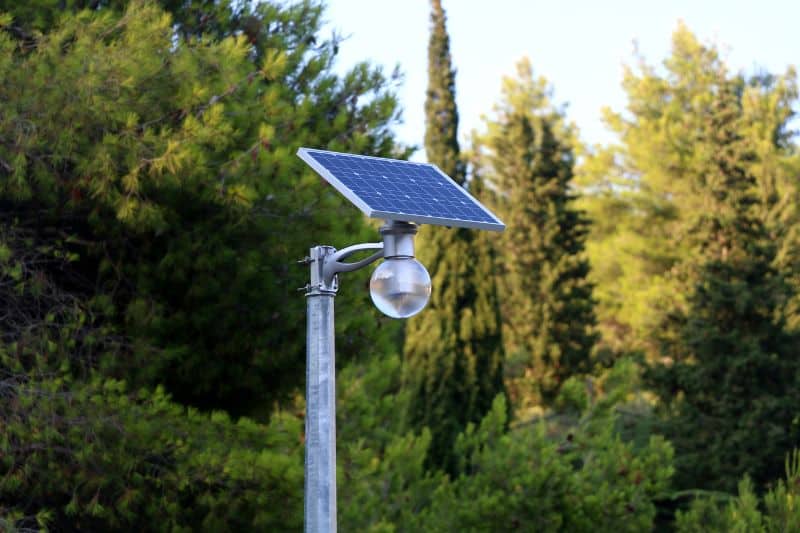 Do Solar Lights Work Under Trees?