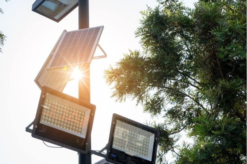 Do Solar Lights Require Sun or Just Daylight?