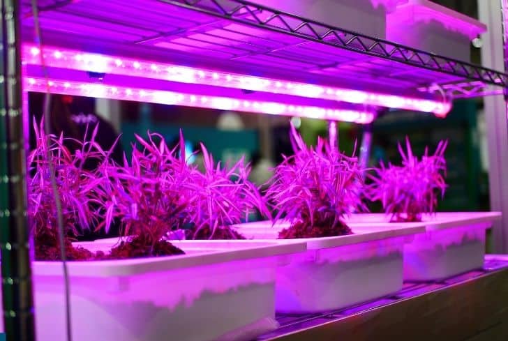 led-grow-lights