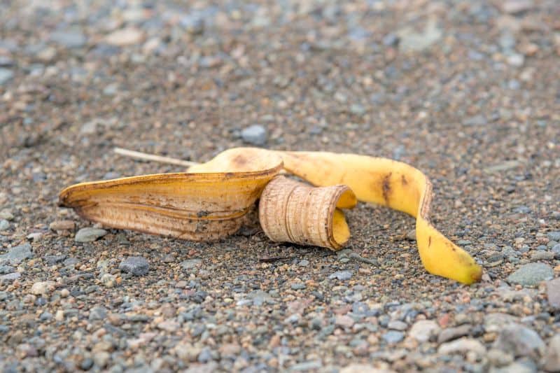 Banana Peel Littering