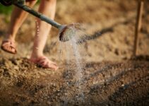 Is Sand Good For Drainage? (And Causes of Poor Drainage)