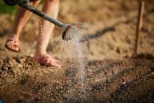 woman-gardener-watering-soil
