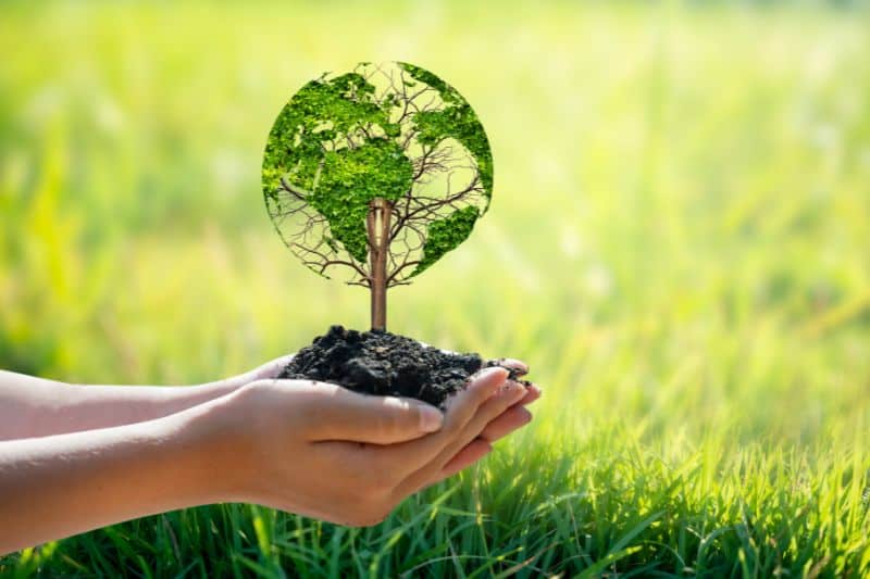 Planet earth and sustainable living