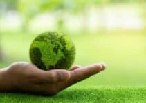 7 Reasons Why Sustainability is Important