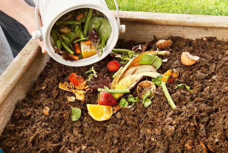 pouring-food-scraps-in-compost