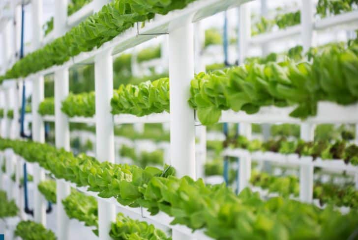 Disadvantages of Indoor and Vertical Farming Systems include: