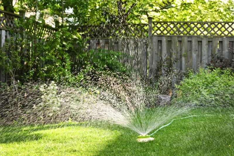 Watering Grass