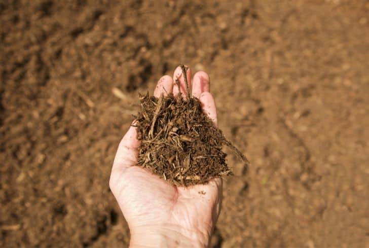 man-holding-mulch