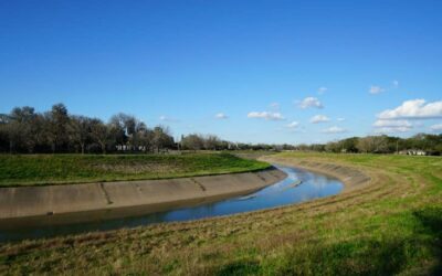 Why Are Watersheds Important? (And How to Protect Them?)