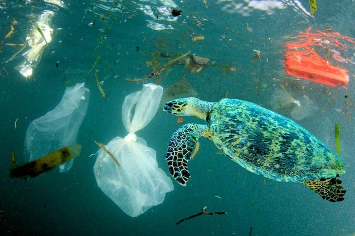 plastic-pollution-in-water