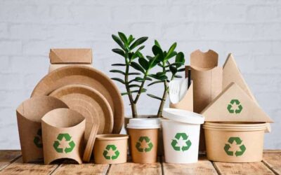 A Guide To Eco-Friendly Packaging Lines