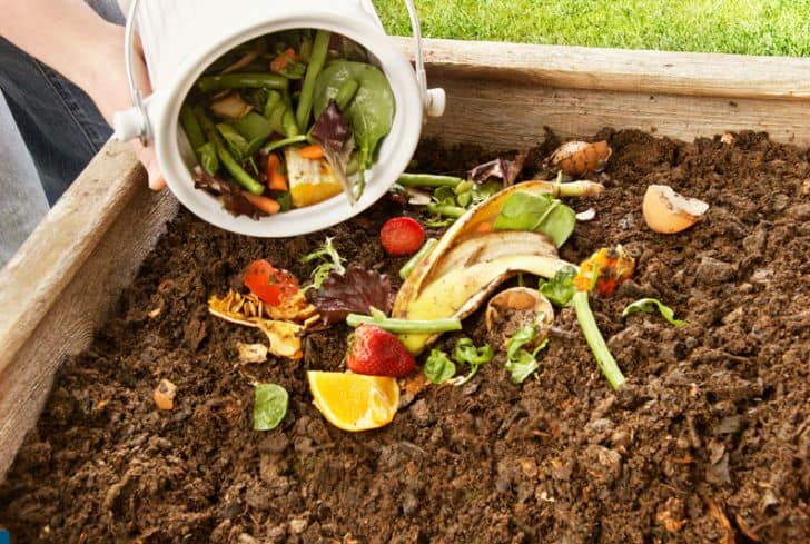 putting-strawberry-in-compost