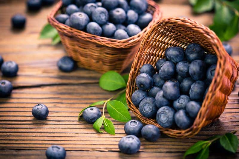 Blueberries-in-basket