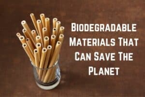 biodegradable-materials-save-planet