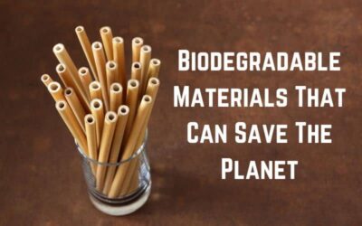 21 Biodegradable Materials That Can Save The Planet (+Pics)