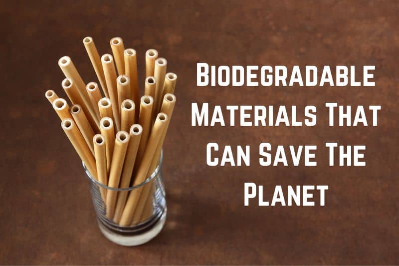 biodegradable-materials-save-planet