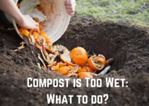 Compost is Too Wet (Soggy): What To Do?