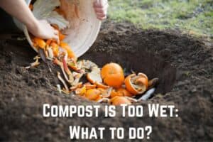 compost-is-wet