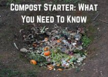 Compost Starter: What You Need To Know