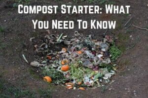 compost-starter