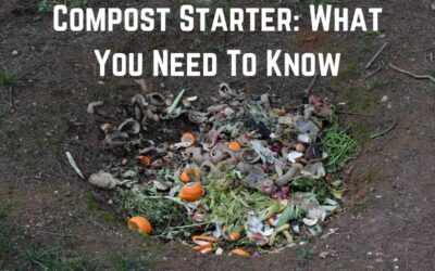 Compost Starter: What You Need To Know