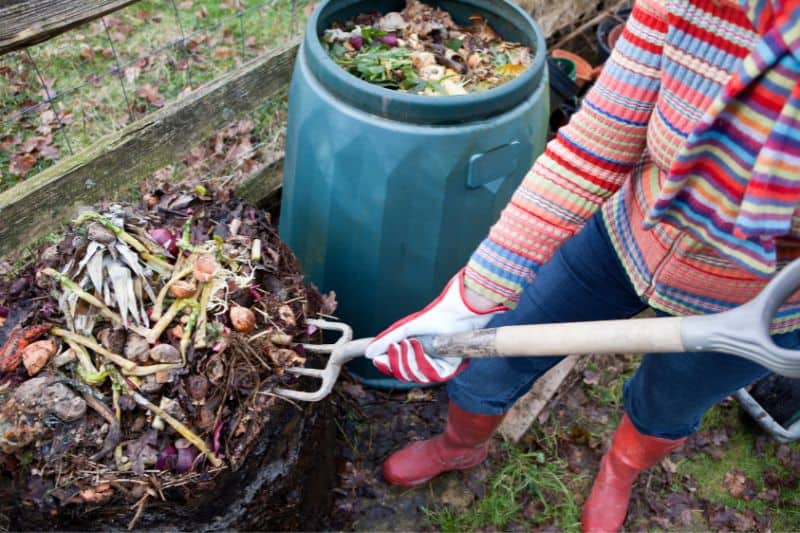 food-waste-composting