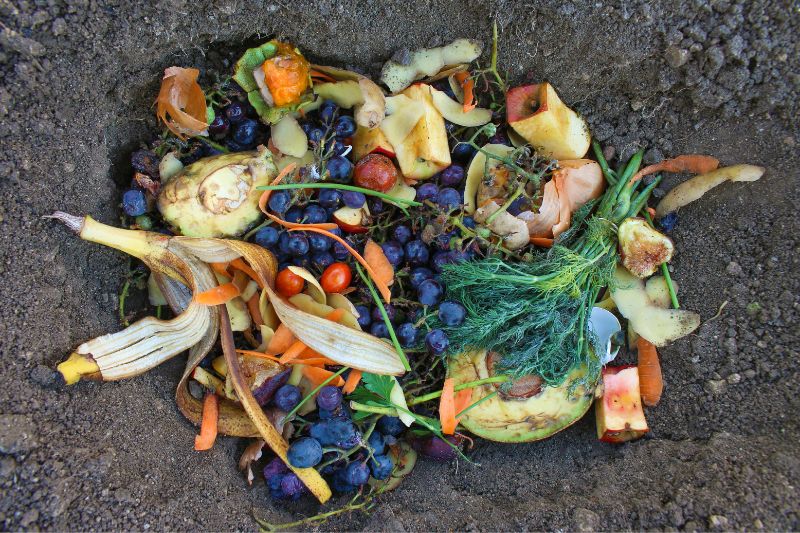 fruit-waste-in-compost