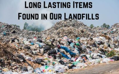 17 Longest Lasting Items Found in Landfills (+Pics)