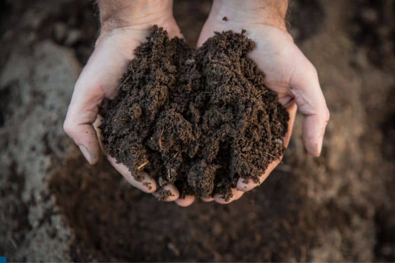 man-holding-soil