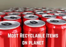 25+ Most Recyclable Items on Earth (+Pics)