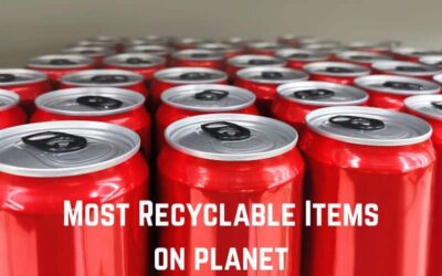 25+ Most Recyclable Items on Earth (+Pics)