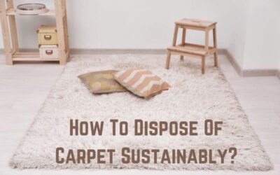 How To Dispose of Carpet Sustainably?