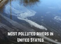 13 Most Polluted Rivers in the US (+Pics)