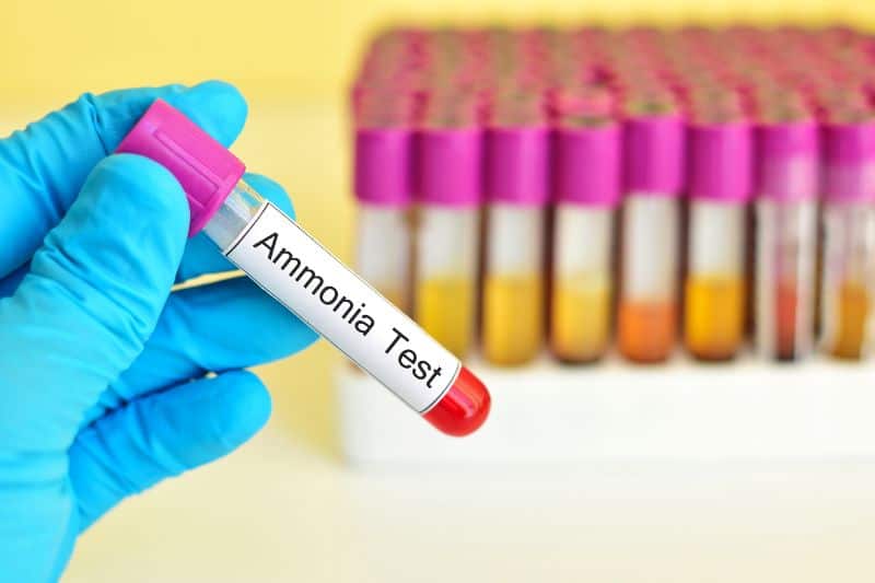 ammonia-test