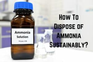 how-to-dispose-of-ammonia
