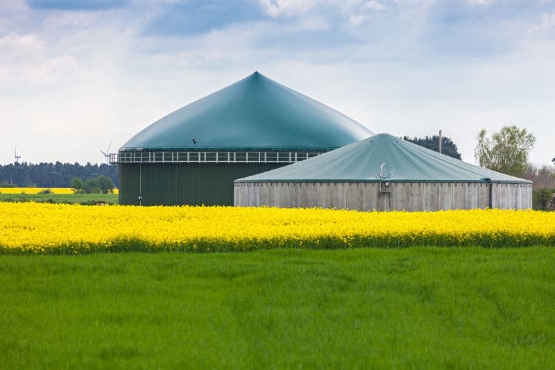 Pros and Cons of Biogas