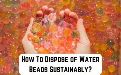 How To Dispose of Water Beads (Orbeez) Sustainably?