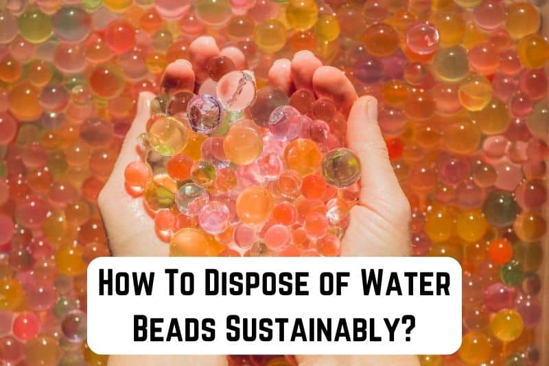 how-to-dispose-of-water-beads